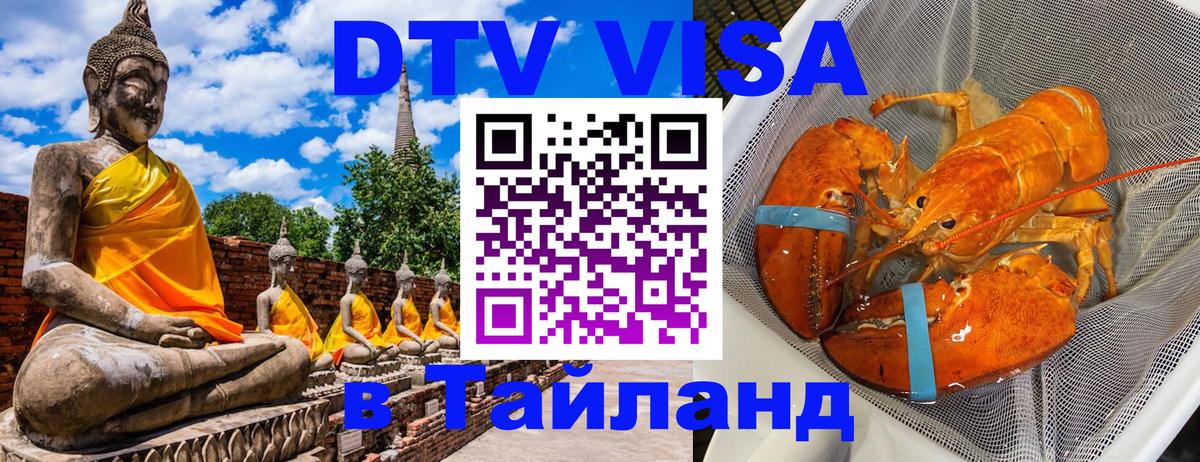 Сколько стоит DTV виза — актуальные цены, оформление даже без документов - Саратов 
